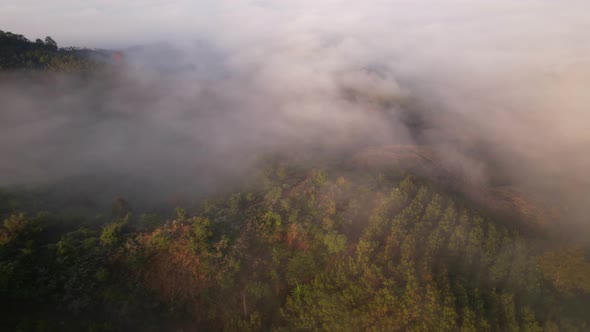 Flying over the clouds during morning sunrise. wonderful morning sunrise natural Landscape.