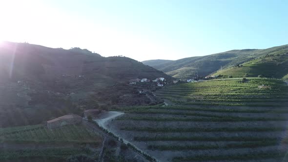 Slowly flying toward a distant hill covered in terraced vineyards in the breathtaking Douro Valley o