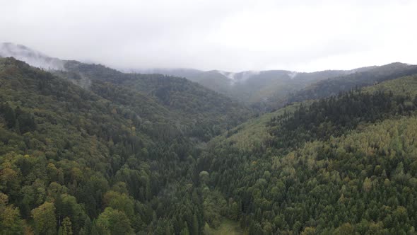 Aerial View of the Carpathian Mountains in Autumn. Ukraine