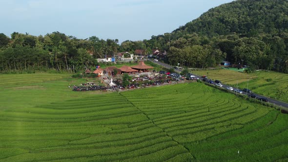 Aerial view of rice terraces. Landscape from drone. Agricultural landscape from the air. Rice terrac