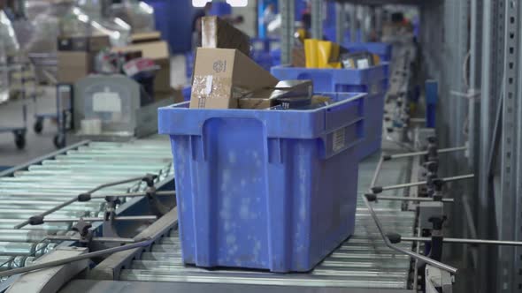 The Parcels Are Moving Along an Automatic Sorting Line