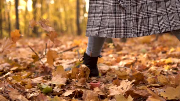 Goes on Fallen leavesA Woman Walks Along the Yellow Fallen Leaves in the Autumn Forest, Legs Close