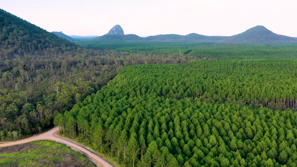 Aerial view of a deforestation in Queensland, Australia.