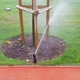 Sprinkler close to a tree in a park - VideoHive Item for Sale