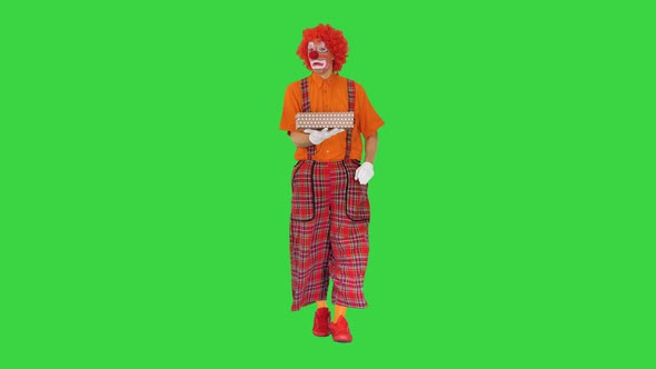 Clown Carrying a Gift Box and Looking Inside of It on a Green Screen Chroma Key