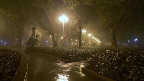 Camera Moving Through Misty Night City Park