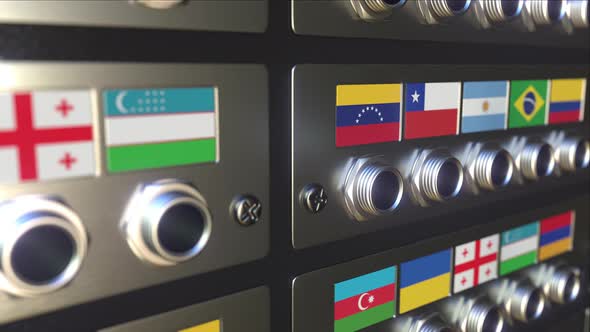 Connector with Flag of Argentina