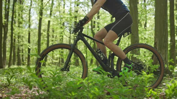 A Man on an MTB Bike is Riding Through the Forest