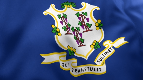 Connecticut State Flag