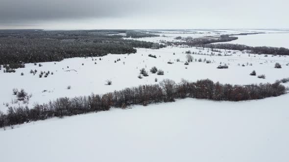 Snow  Covered Fields