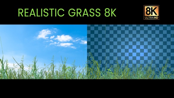 Grass 8k