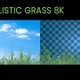 Grass 8k - VideoHive Item for Sale