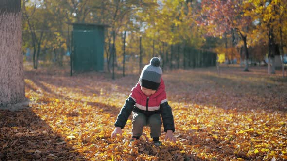 Kid Playing with the Golden Leaves in Autumn Park. A Boy Throws a Pile of Leaves Overhead and