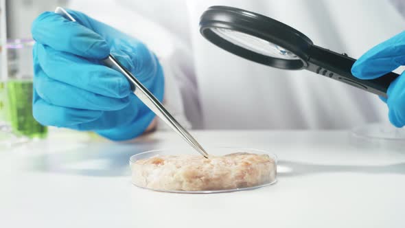 Medical Scientist Inspecting Minced Meat Wearing Protective Unform Working in Laboratory