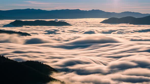 Wave of Foggy Clouds Motion Fast in Forest Mountains in Sunny Spring Morning Nature