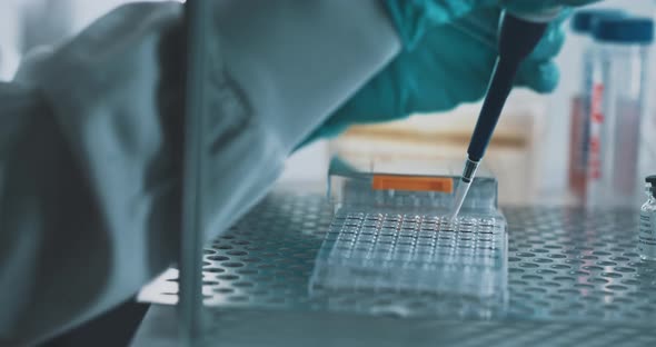 Scientist using pipette transfer sample in micro plate