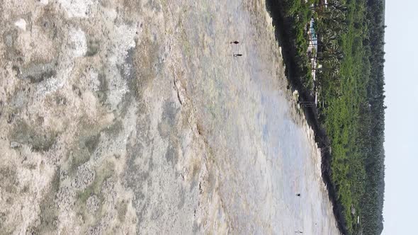 Zanzibar Tanzania  Vertical Video of Low Tide in the Ocean Near the Coast Slow Motion