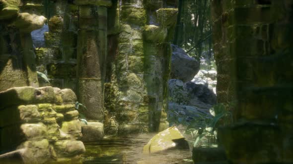 Ruined Ancient Stone House Overgrown with Plants and Ferns in Dense Green Forest alt