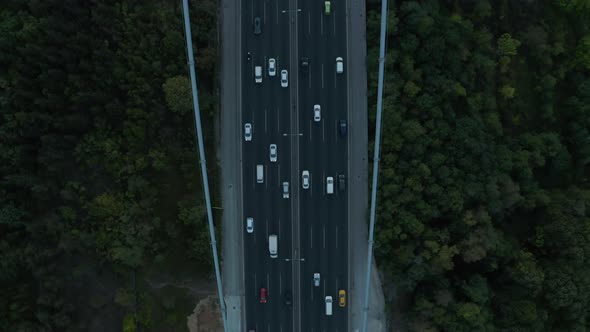 Start of Bridge Road Freeway Between Forest Woods with Car Traffic, Aerial Birds Eye Top Down View