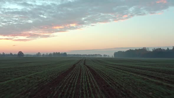 Agricultural Field in Autumn