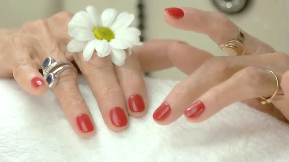 Female Hands with Flower After Spa.