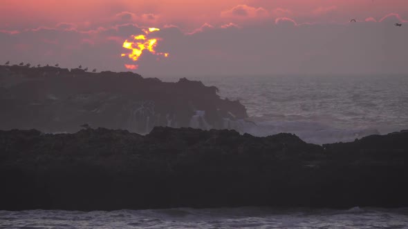 Seagulls Over Rocks in Sea Against Sunset