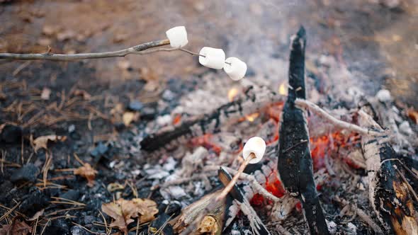 Somebody Roasting Marshmallows Strung on Dry Branches on Burning Smoky Campfire in Autumn Forest