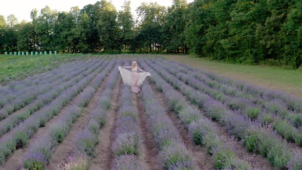 Aerial Cinematic Drone View of Woman Dancing Colorful Lavender Fields on a Sunny Day Blooming Purple