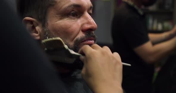 Haircut Beard with in a Barber Shop