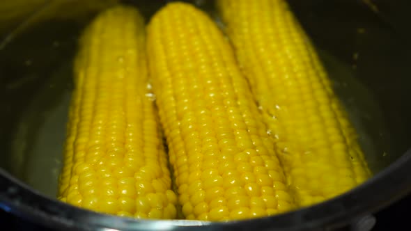 The Corn is Boiled in a Stainless Steel Saucepan