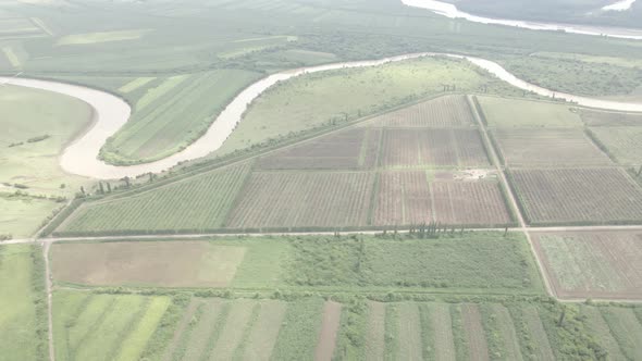 Aerial drone view flight over different agricultural fields sown in Samegrelo, Georgia