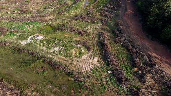 Aerial view land clearing.