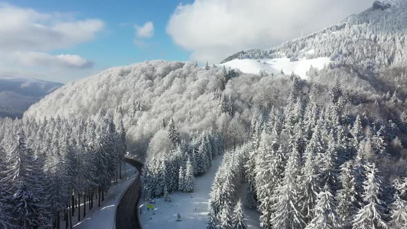 Road Through The Snowy Mountain Forest