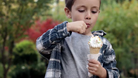 Cute child eating ice cream in the park on a warm sunny day