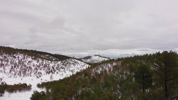 Flying Between Trees in the Snowy Mountains