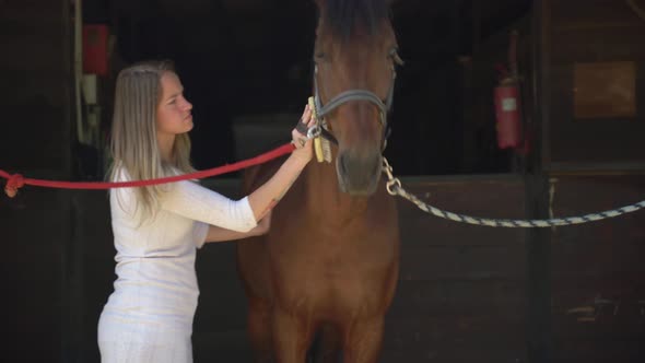 Young Woman Brushing Her Horse Before Riding