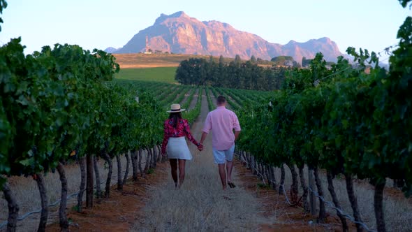 Vineyard Landscape at Sunset with Mountains in Stellenbosch Near Cape Town South Africa