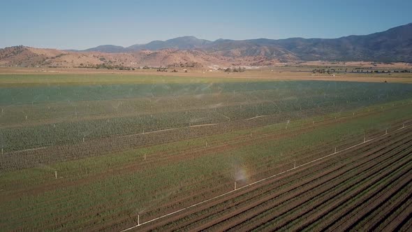 Irrigation sprinklers watering crops in agricultural field in California, AERIAL