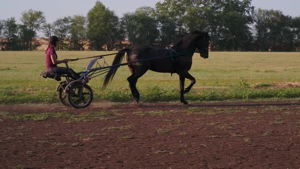 Carriage Ride in the Countryside