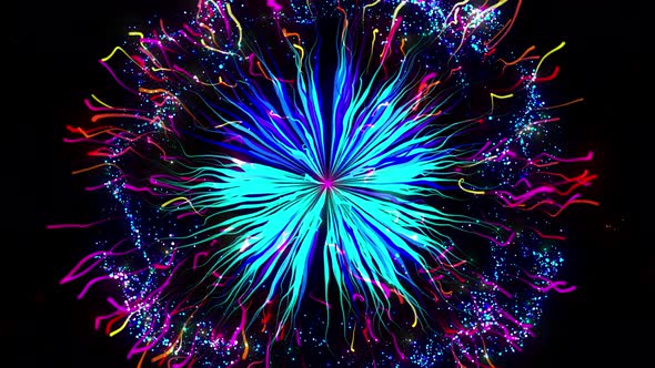 Pulse Flower Fireworks