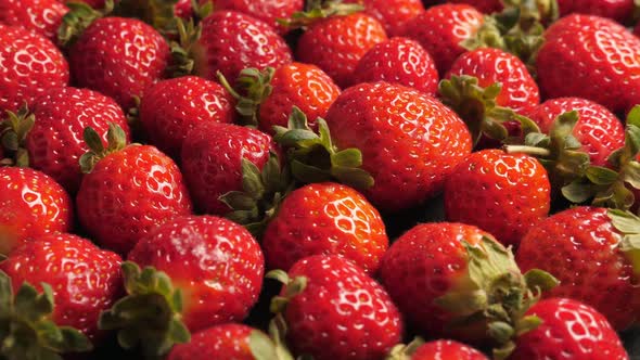 A Lot of Ripe and Fresh Strawberry