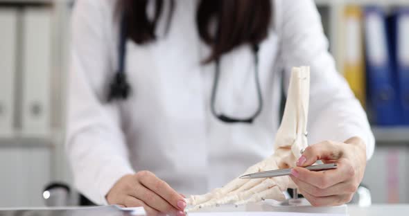 Doctor Demonstrates Model of Human Ankle Bone Anatomy