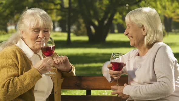 Elderly Women Drinking Wine in Park, Celebrating Holidays Together, Resting