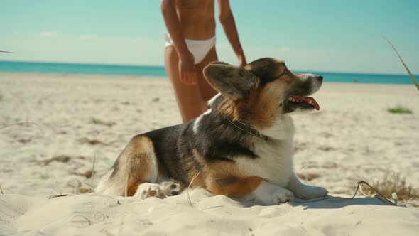 Happy Affectionate and Tender Tanned Woman in Bikini Lying on Sand at Sunny Sea Beach with Her Pet