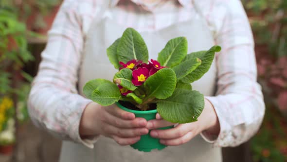 Young Woman Holds Out Pots of Flowers