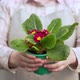 Young Woman Holds Out Pots of Flowers - VideoHive Item for Sale