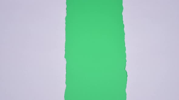 Torn Paper Transitions on Green Screen Background
