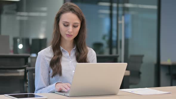Successful Young Businesswoman Celebrating on Laptop