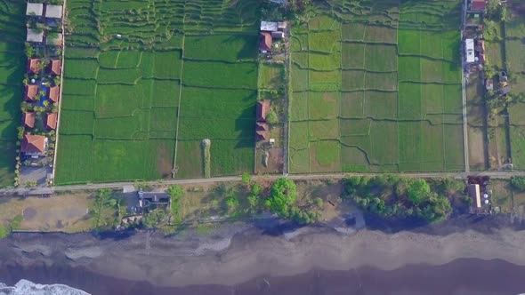 Aerial drone view of the green farming fields, beach and sea in Indonesia.