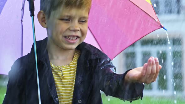 Preschool Boy Catching Raindrops alt